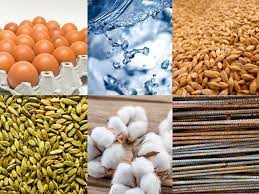 گزارش معاملات بورس کالا – ۱۳ بهمن ۱۴۰۰