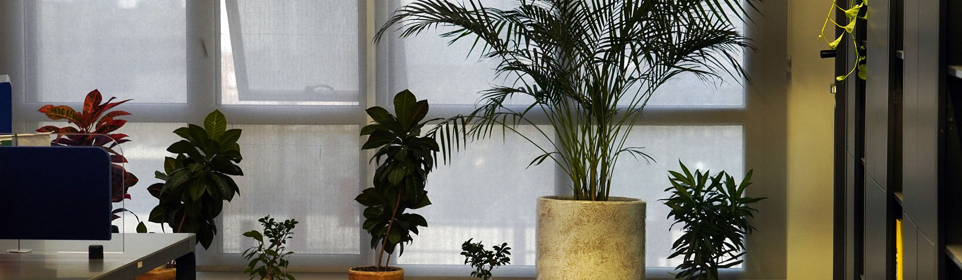 کارگزاری شهر