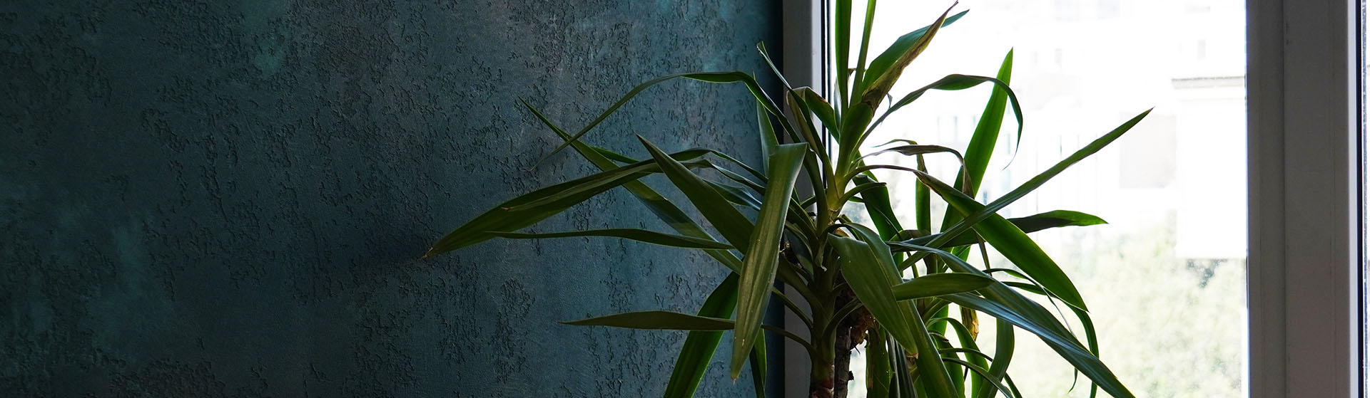 مدیریت عمران و توسعه شهر آتیه