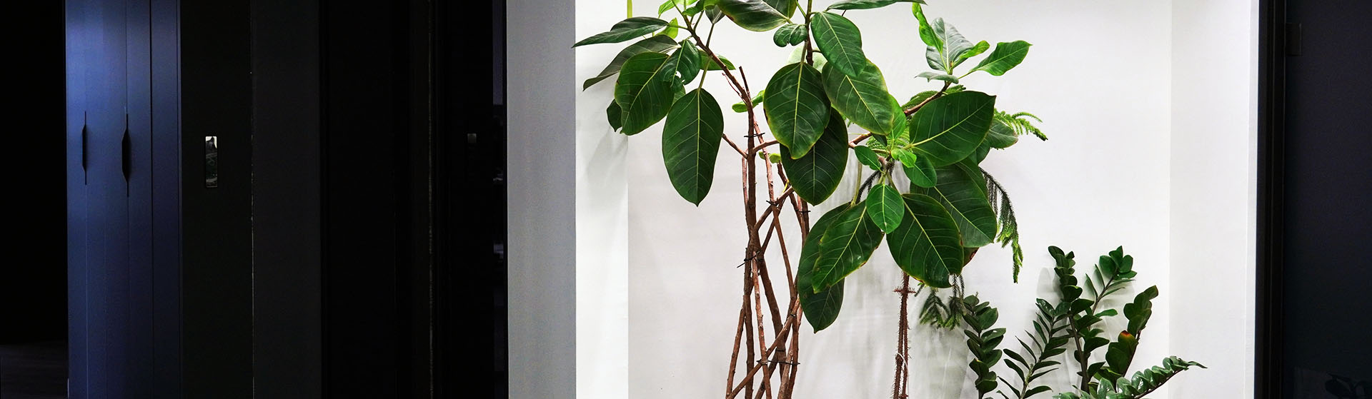 تامین سرمایه تمدن